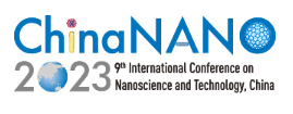 ChinaNANO 2023 Conference 2023 Logo